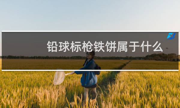 铅球标枪铁饼属于什么图片