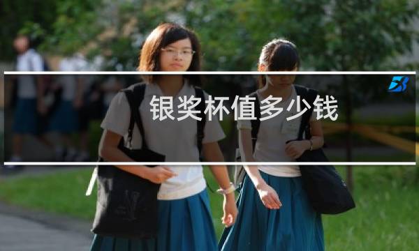 银奖杯值多少钱图片