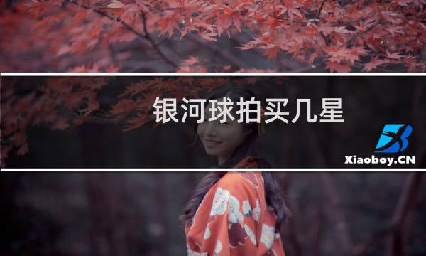 银河球拍买几星图片