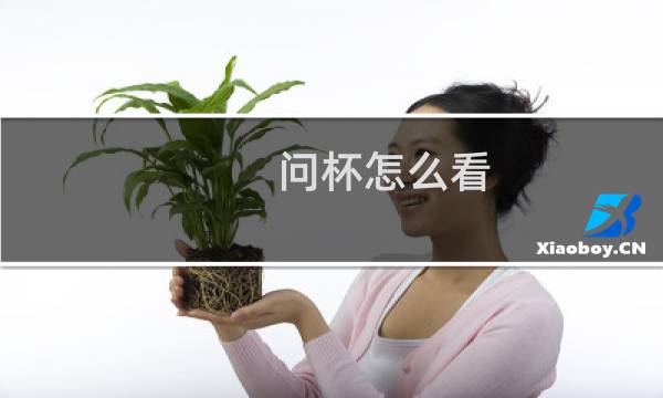 问杯怎么看图片