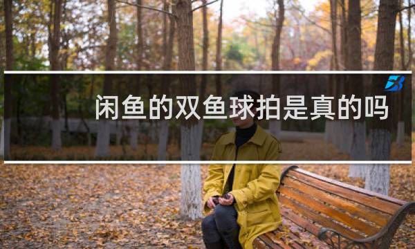 闲鱼的双鱼球拍是真的吗图片