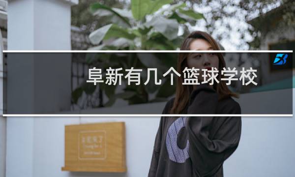 阜新有几个篮球学校图片