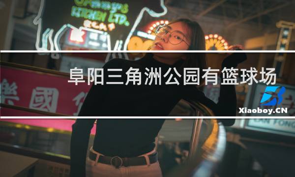 阜阳三角洲公园有篮球场吗图片