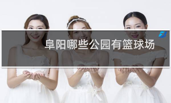 阜阳哪些公园有篮球场图片