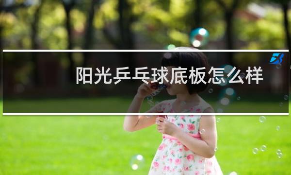 阳光乒乓球底板怎么样图片
