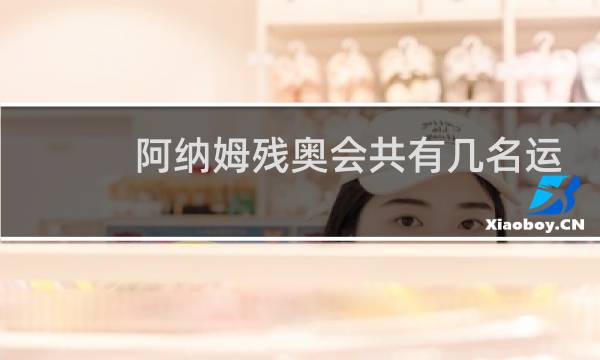 阿纳姆残奥会共有几名运动员参加图片