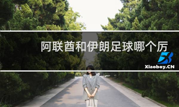 阿联酋和伊朗足球哪个厉害图片