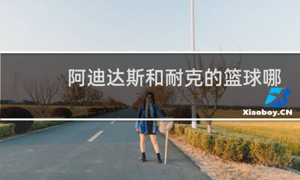 阿迪达斯和耐克的篮球哪个好图片