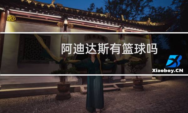 阿迪达斯有篮球吗图片