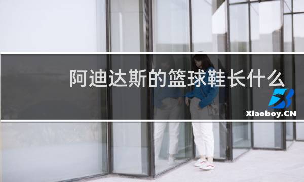 阿迪达斯的篮球鞋长什么样图片