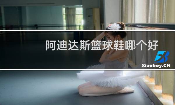 阿迪达斯篮球鞋哪个好图片