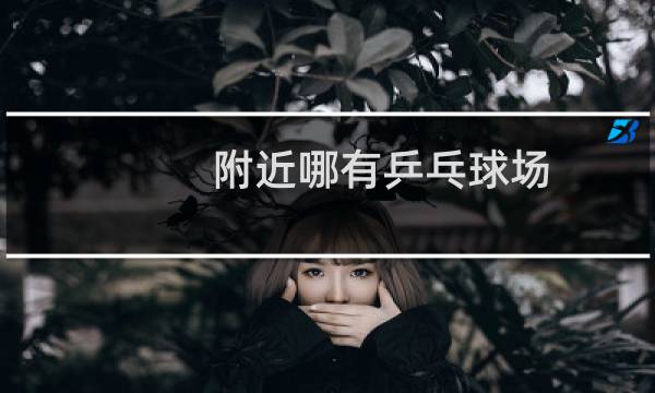 附近哪有乒乓球场图片