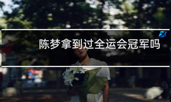 陈梦拿到过全运会冠军吗图片