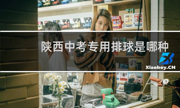 陕西中考专用排球是哪种图片