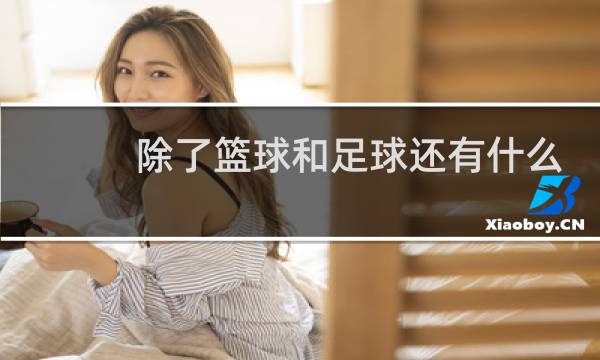 除了篮球和足球还有什么球图片