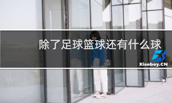 除了足球篮球还有什么球图片图片