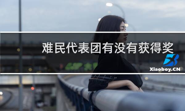 难民代表团有没有获得奖牌图片
