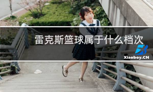 雷克斯篮球属于什么档次图片