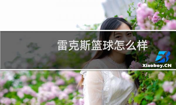 雷克斯篮球怎么样图片
