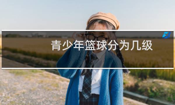 青少年篮球分为几级图片