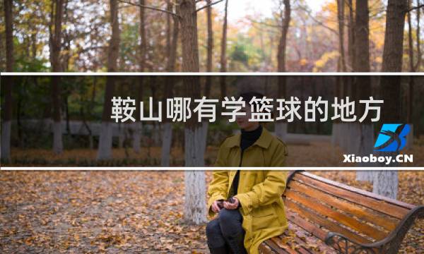 鞍山哪有学篮球的地方图片