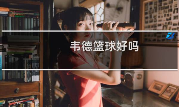 韦德篮球好吗图片