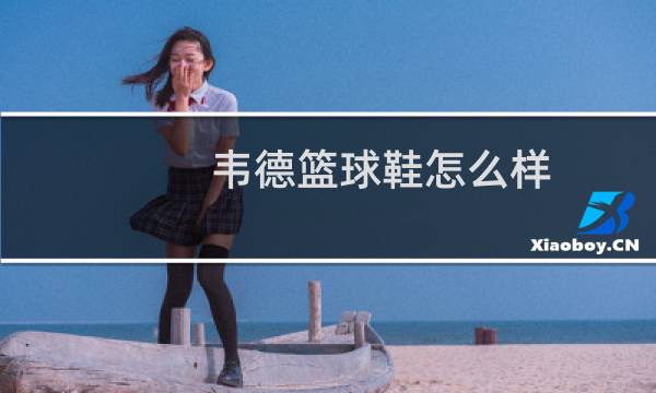 韦德篮球鞋怎么样图片