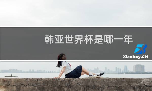 韩亚世界杯是哪一年图片