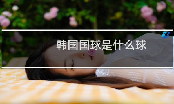 韩国国球是什么球图片