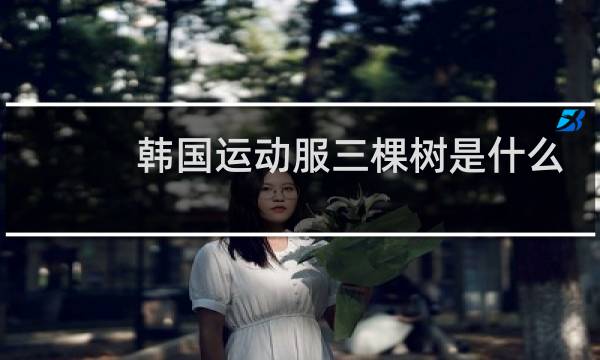 韩国运动服三棵树是什么品牌图片