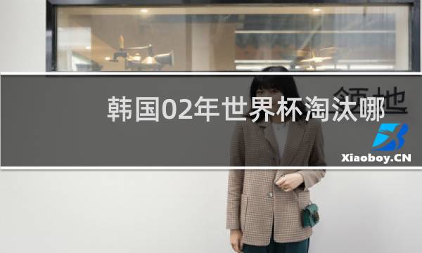 韩国02年世界杯淘汰哪些队伍图片