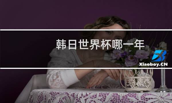 韩日世界杯哪一年图片
