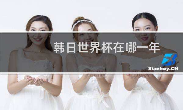 韩日世界杯在哪一年图片