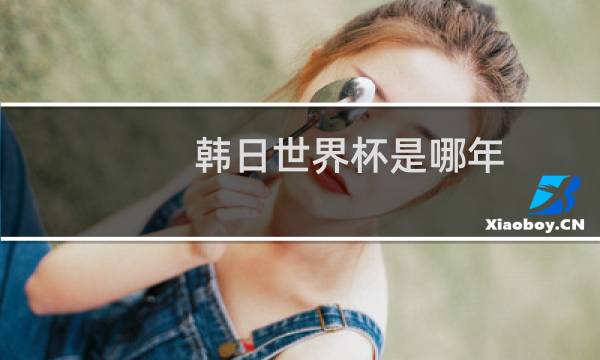 韩日世界杯是哪年图片