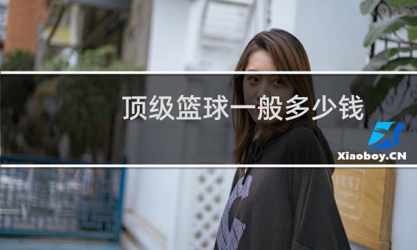 顶级篮球一般多少钱图片