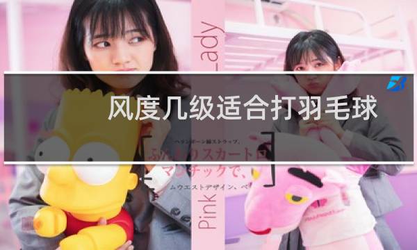 风度几级适合打羽毛球图片