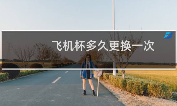 飞机杯多久更换一次图片