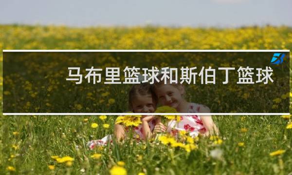 马布里篮球和斯伯丁篮球哪个好图片