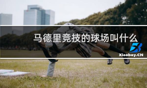 马德里竞技的球场叫什么图片