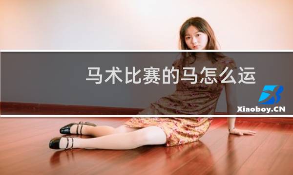 马术比赛的马怎么运图片