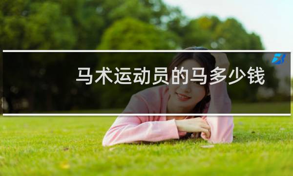马术运动员的马多少钱图片