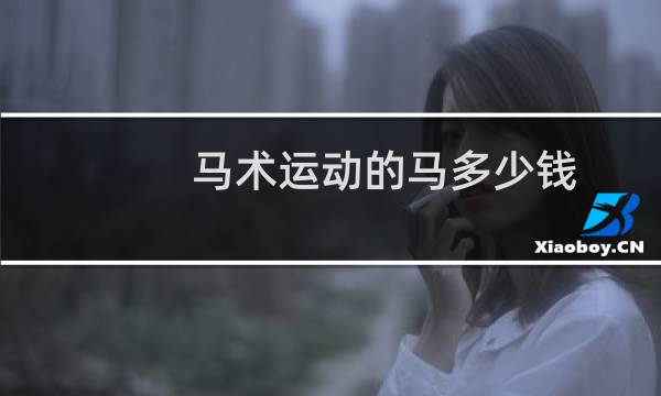 马术运动的马多少钱图片