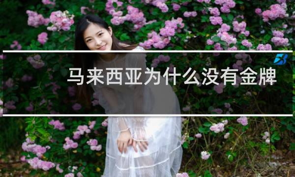 马来西亚为什么没有金牌图片