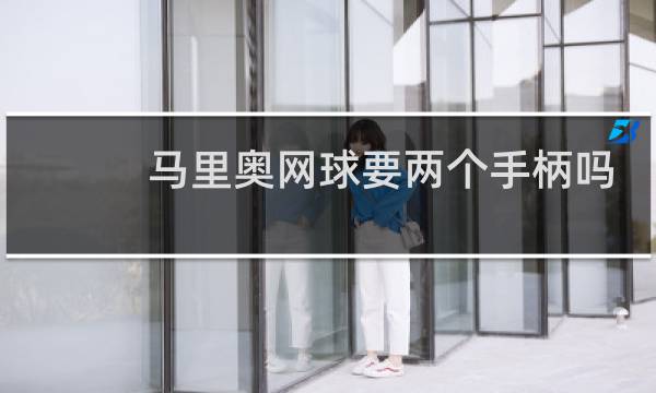 马里奥网球要两个手柄吗图片