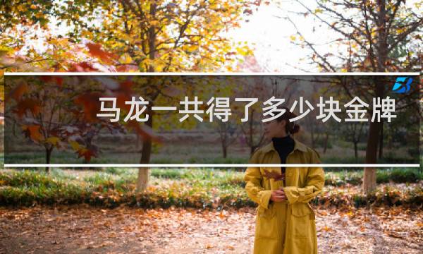 马龙一共得了多少块金牌图片