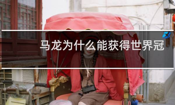 马龙为什么能获得世界冠军图片