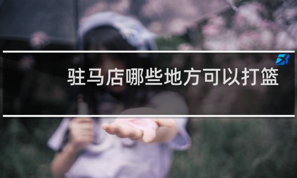驻马店哪些地方可以打篮球图片