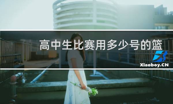 高中生比赛用多少号的篮球图片