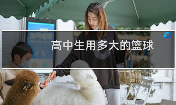 高中生用多大的篮球图片