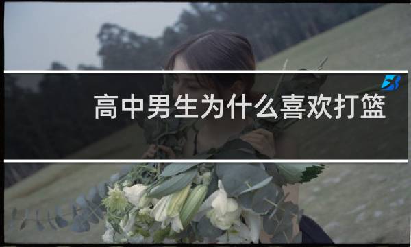 高中男生为什么喜欢打篮球图片